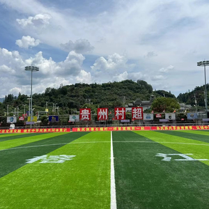 2025 năm mới đến tổng hợp Turf ngoài trời tổng hợp cỏ với giá như vậy giá rẻ tổng hợp Mat cỏ bóng đá lĩnh vực sàn - Product Image 1