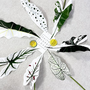 YOPIN-3504 Feuille d'<span class=keywords><strong>Arum</strong></span> Artificielle Simple Feuille De Taro Colorée Feuille De Bégonia Plante Verte Artificielle Nouveaux Produits - Product Image 3