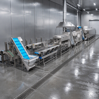 Nouvelle machine de fabrication de frites personnalisées pour usine de chips : lavage, pelage, découpe, séchage, friture, congélation, emballage