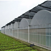 Serres de film plastique multi-travées pour l'agriculture commerciale Serre de système hydroponique pour légumes fruits fleurs