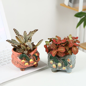 Carino dipinta A mano Mini <span class=keywords><strong>Fiori</strong></span> E <span class=keywords><strong>Piante</strong></span> <span class=keywords><strong>Grasse</strong></span> Succulente <span class=keywords><strong>Vaso</strong></span> di - Product Image 4