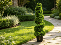 Arbre artificiel en buis en spirale en pot, fausse verdure torsadée, pour la décoration paysagère de villas, hôtels et centres commerciaux