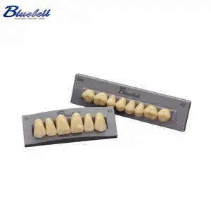 MDSAP Guaranteed 2-layer denture teeth bluebell series in Dental Labs with excellent quality and shade stability