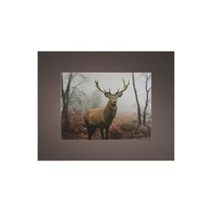Quadro LED 58x4x38cm, luce efficiente e decorativa, ideale per ambientare gli spazi e valorizzare l'arredamento interno. - Product Image 1