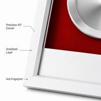 Plaque de concessionnaire agréé en alliage d'aluminium haut de gamme personnalisée avec incrustation en velours, récompense de reconnaissance d'entreprise de luxe