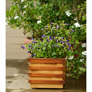 premium lLook <b>Planter</b> Natural and Brown Layered Handmade Box <b>Wooden</b> <b>Planter</b> at Wholesale Price From India - Product Image 1