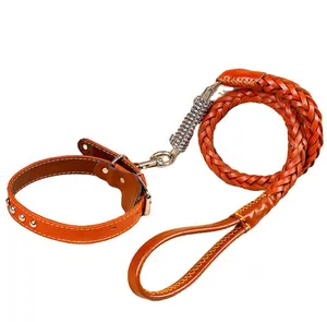 Huisdier Accessoires Levert Luxe Lederen Hondenriem En Halsband Set Voor Hond Gekleurde Ontwerp Huisdier Accessoires Benodigdheden