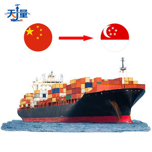Servicio de Transporte de Carga Puerta a Puerta, Logística de Importación Integrada, Envío de Carga, China-Singapur, Marítimo Vía LCL+Express, 10-15 Días - Product Image 1