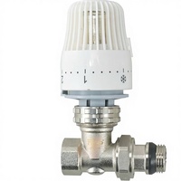 Vanne de régulation thermostatique réglable pour radiateur avec réglage manuel, pour eau, AC 220V, port de 4 pouces