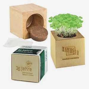 Cubo de Madera para Plántulas PL WOOD, Gadgets Ecológicos - Product Image 1