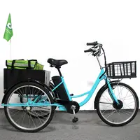 Adult Electric Tricycle, Cargo Bike, Electric Scooter