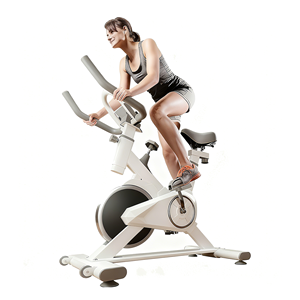 Tiếng Ồn Thấp Trong Nhà Đi Xe Đạp Xe Đạp Cardio Đào Tạo Phòng Tập Thể Dục Thiết Bị Nhà Có Thể Điều Chỉnh Kháng Văn Phòng Phẩm Xe Đạp Cho Trọng Lượng Giảm Cân - Product Image 1