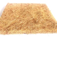 JIATAI 3cm épaisseur 32*32 tapis naturel de noix de coco pour volailles pet microgreen hydroponique pad pré-coupé