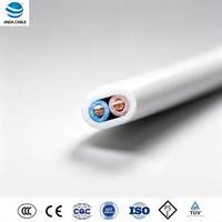 Câble plat double en cuivre JINDA BVVB 1,5 mm² 300/500 V, isolé PVC, gaine PVC, câble plat pour bâtiment