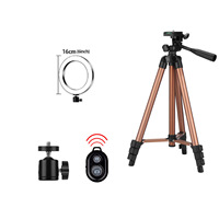 Anneau lumineux LED à intensité variable avec support de téléphone Selfie Fill Light pour Tik Tok Youtube Video 10 pouces Led Ring Light avec trépied