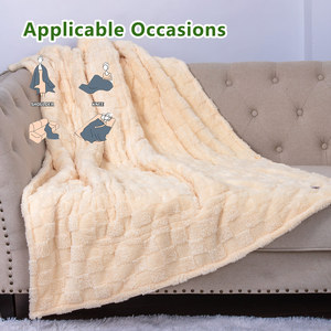 Nhanh chóng sưởi ấm ấm <span class=keywords><strong>Sherpa</strong></span> Lông Mùa Đông nước nóng ném chăn điện cho đi văng giường sofa - Product Image 2