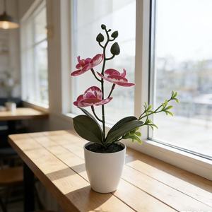 Orchidée Phalaenopsis artificielle en pot rond, plante miniature, décoration d'intérieur, trois fleurs, sable noir - Product Image 2