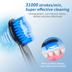 PRITECH Bàn Chải Đánh Răng Điện Siêu Âm Thông Minh Chống Nước Có Thể Sạc Lại Bán Sỉ Theo Yêu Cầu - Product Image 3