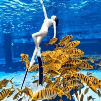 JUNHAIINS Palmes de lame de chasse sous-marine en fibre de carbone personnalisées Palmes de plongée Palmes de natation de plongée gratuites Palmes de plongée longues Grenouille