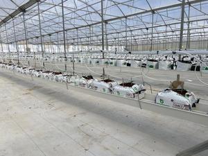 2023 keluaran baru rumah kaca pertanian hidroponik vertikal nampan PVC stroberi tumbuh substrat Talang dengan dudukan - Product Image 5