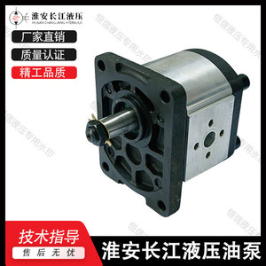 Pompe à engrenages Changjiang CBS-D304, pompe à huile hydraulique de type rotatif en fonte, entraînement électrique - Product Image 5