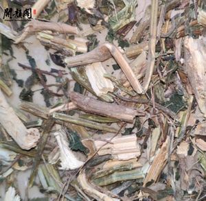 Les racines séchées de tige <span class=keywords><strong>d</strong></span>'ortie piquante de KAIYANGE coupent l'approvisionnement direct organique Best Botanicals Urtica Fissa E. <span class=keywords><strong>Tisane</strong></span> Pritz - Product Image 3