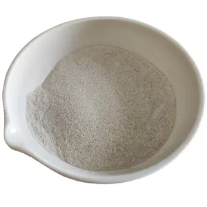 Food Grade Catalase Enzyme from ISO factory Catalase Food Ingredients catalase