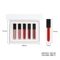 Ensemble de 5 gloss à lèvres sur mesure, parfum et couleur personnalisés, qualité professionnelle, marque privée, vente en gros, coffret cadeau de maquillage professionnel