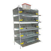 Cages en batterie de type H pour l'élevage professionnel des œufs de cailles, capacité 300 cailles/ensemble, pour la ponte, à vendre