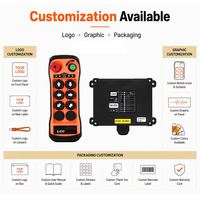 Télécommande sans fil LCC QA600 pour palan, 315/433 MHz, télécommande radio industrielle pour grue