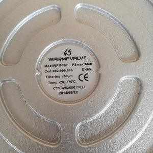 Filtres à gaz tubulaires DN65 fournis par le fabricant pour le gaz naturel et le gaz de pétrole liquéfié - Product Image 4