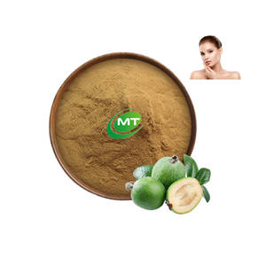 Muestra gratis de alta calidad de la fábrica de suministro de fruta natural en polvo a granel <span class=keywords><strong>Feijoa</strong></span> Sellowiana extracto en polvo - Product Image 1