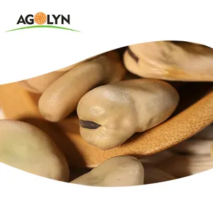 중국 자연 공기와 냉동 건조 넓은 콩