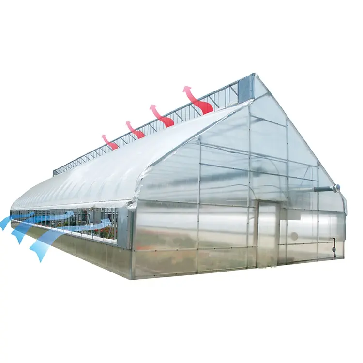 ONE-one Greenhouse arches film single span tunnel greenhouse plastic shed for vegetables