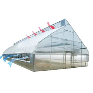 ONE-one Greenhouse arches film single span tunnel greenhouse plastic shed for vegetables