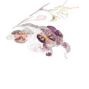 Cuscino cuscino per divano quadrato in mogano classico <span class=keywords><strong>con</strong></span> fiori <span class=keywords><strong>con</strong></span> ricamo uccello Hotel casa soggiorno camera camera cuscino federa - Product Image 5