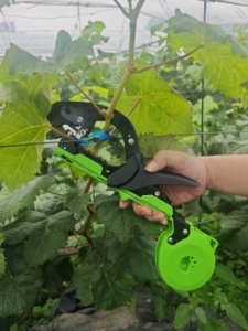 Herramienta OEM de fácil manejo para atar plantas, soporte para viñas de uva y tomate - Product Image 5