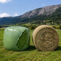 Película de Polietileno para Envolver Ensilaje de 25 micras, de Calidad Popular, Moldeada por Soplado, para Protección Contra la Humedad de Pacas de Ensilaje de Pasto