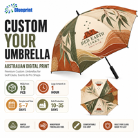 Parapluie de golf monocouche à 8 baleines, coupe-vent 45 mph, baleines en fibre de verre, impression numérique couleur intégrale, logo personnalisé, boîte cadeau, pongee 210T, OEM
