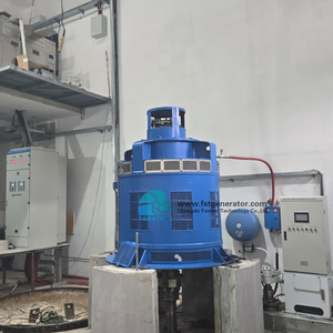 Turbine Kaplan à haut débit 110 kW Générateur d'électricité hydraulique 380V/400V 50/60Hz - Product Image 6