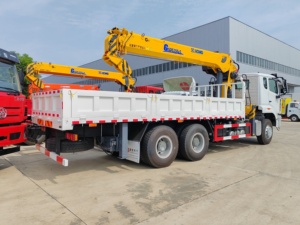 Howo 6x4 PS 12T Kran LKW LKW montiert Gerader Ausleger Kran Fracht LKW Kran nach Südamerika - Product Image 3