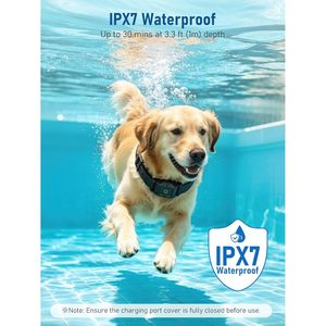 ปลอกคอฝึกสุนัขแบบไร้สาย 2-in-1 พร้อมรีโมท ระยะ 2997 ฟุต 4 โหมด กันน้ำ IPX7 สีดำ รุ่น F700 - Product Image 6