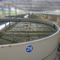 Équipement d'aquaculture intérieure en vente Réservoirs d'élevage de crevettes RAS et réservoirs d'élevage de poissons en PP