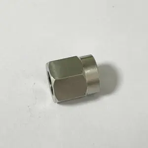 Factory Non-standard Stainless Steel Hexagonal Nuts