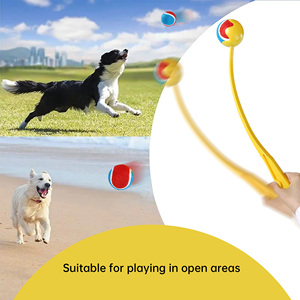 C4P fabbrica vendita diretta allenamento all'aperto esercizio di palla da Tennis lanciatore per prendere cane palla lanciatore - Product Image 4