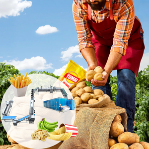 Ligne de production de frites surgelées pré-cuites entièrement automatiques et personnalisées pour la fabrication de chips de pommes de terre - Product Image 1