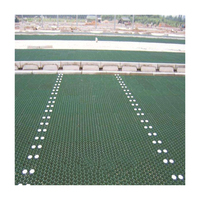 Filet de stationnement pour voiture en plastique pour l'esthétique Tapis de paddock Renforcement de l'herbe pour parking