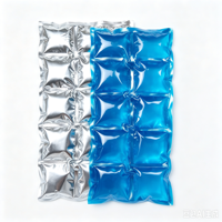 Glaçon réutilisable en gel rafraîchissant pour boîte à lunch, pique-nique, extérieur, stockage alimentaire – Couleurs personnalisables, soulagement de la douleur