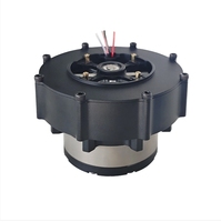 Moteur à engrenages planétaires pour applications de bras robotiques et de bateaux, 36V 45Nm 191W 32rpm, moteur CC sans balais à aimant permanent