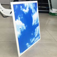 Les plafonniers enfoncés adaptés aux besoins du client de panneau de lucarne ont mené le ciel léger de panneau, panneau artificiel de lucarne de Led